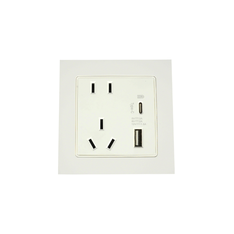 客房 带1个USB/1个Typec的五孔插座 奥迪信 包邮【德胧供应链】